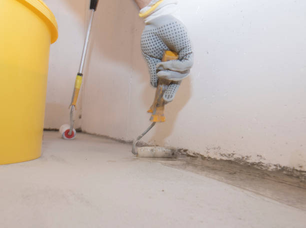 Best Fumigation Services  in Mccaysville, GA